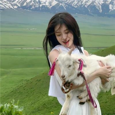 猛龙怪客4:镇压